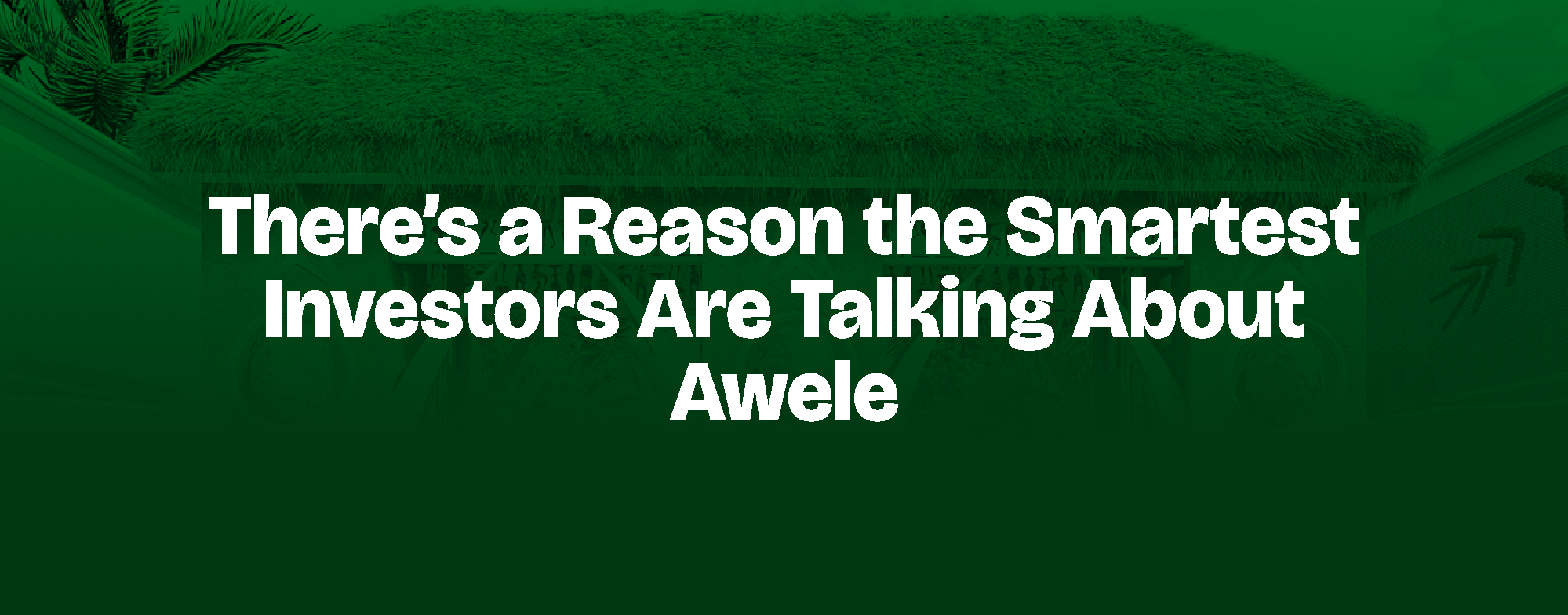 Read more about the article There’s a Reason the Smartest Investors Are Talking About Awele