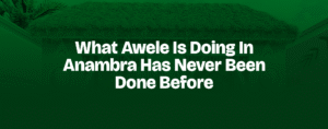 Read more about the article WHAT AWELE IS DOING IN ANAMBRA HAS NEVER BEEN DONE BEFORE