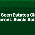 Why Awele Might Be the First Real Estate Project That Feels Like Hope