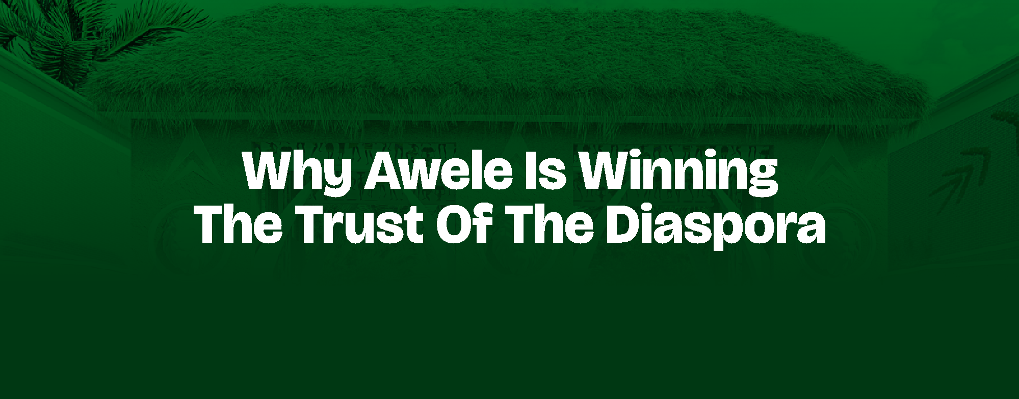 Read more about the article WHY AWELE IS WINNING THE TRUST OF THE DIASPORA